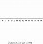 Image result for 12-Inch Ruler Actual Size