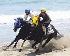 Image result for Horse Racing Phone Wallpaper