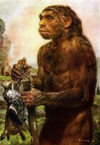 Image result for Neanderthal Homo Erectus