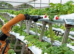 Image result for Future Farming Robots