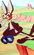 Image result for Wiley Coyote TNT
