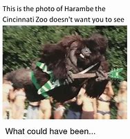 Image result for Harambe Covid Meme