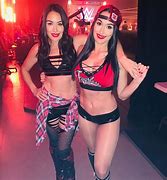 Image result for Nikki Bella Twitter/Instagram