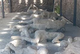 Image result for Pompeii Victims Getty Images