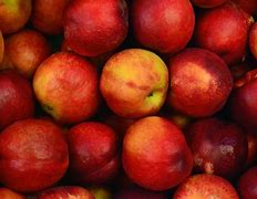 Image result for Cute Apple Background