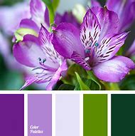 Image result for Paint Swipe Light Purple