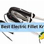Image result for Best Electric Fillet Knife