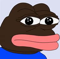 Image result for Pepe Reading