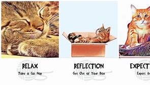 Image result for Cosmic Cat Phrases