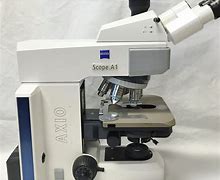Image result for Zeiss Microscopy