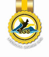 Image result for Lges Logo