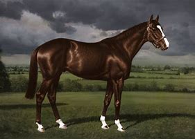 Image result for site:www.bloodhorse.com