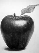Image result for Still Life Sketch Apple