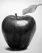 Image result for Still Life Drawing Easy Apple