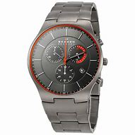 Image result for Skagen Titanium Watch