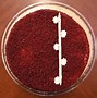 Image result for Costco Red Velvet Cake Ingredient List