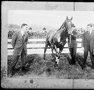 Image result for Old Horse Racing