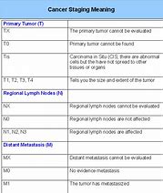 Image result for Stages of Cancer Tumor Size