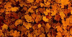 Image result for Broken Fall Texture