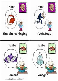 Image result for Preschool Five Senses Activities