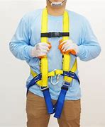 Image result for Safety Harness Lanyard
