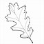 Image result for Leaf Pics to Trace