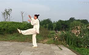 Image result for Wu Style Tai Chi Kicking Techniques