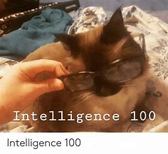 Image result for Brain 100 IQ Meme
