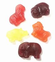 Image result for Zoo Animal Candy