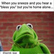 Image result for Crazy Kermit Meme