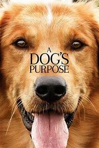 Image result for Dog Movie Poster