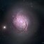 Image result for Golden Spiral Galaxy