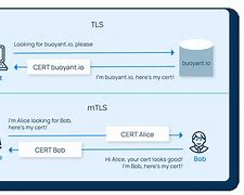 Image result for TLS vs MTLS