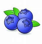 Blueberry Jam Recipes Canning 的图像结果