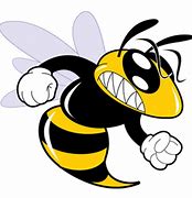 Image result for Henley Hornets