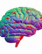 Image result for Brain Background Wallpaper