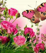 Image result for Screensavers Flowers Beautiful