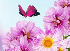 Image result for Pink Spring Flowers Screensaver