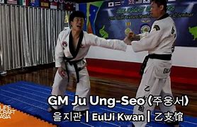 Image result for Korean Artist Know Martial Arts