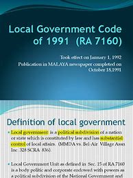 Image result for Local City Government Structure