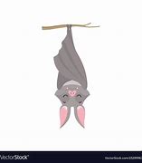 Image result for Hanging Upside Down Animal Doodle