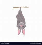 Image result for Upside Down Bats Funny