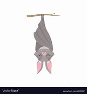 Image result for Bat Upside Down Tree