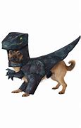 Image result for T Rex Dog Costume