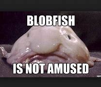 Image result for Blob Fish Is Not Amused Meme