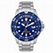Image result for GMT Dive Watch