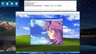 Image result for VMware Player XPM