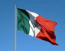 Image result for Mexico Flag Circle Icon