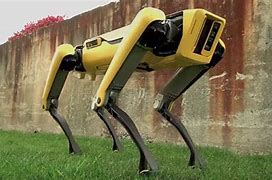 Image result for Robot Autonomy