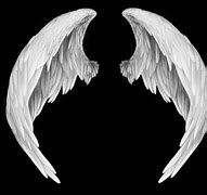 Image result for Free Angel Wings